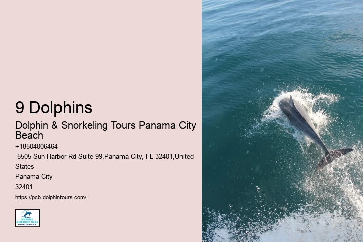 Snorkeling And Diving In Panama City Beach