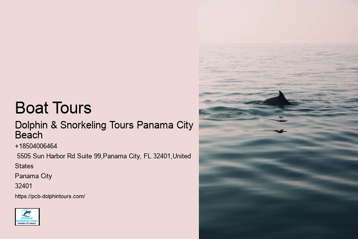Boat Tours
