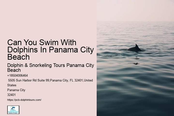 Dolphin Excursions Snorkel Adventure