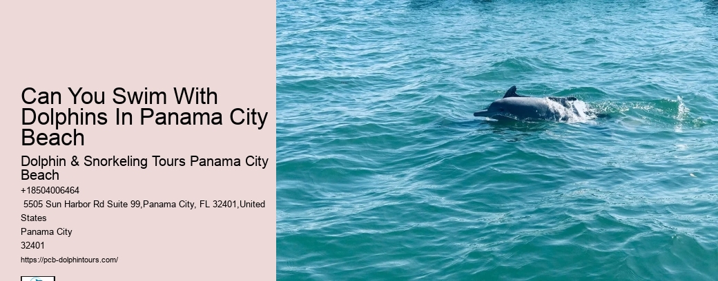Coastal Clean-up Initiatives