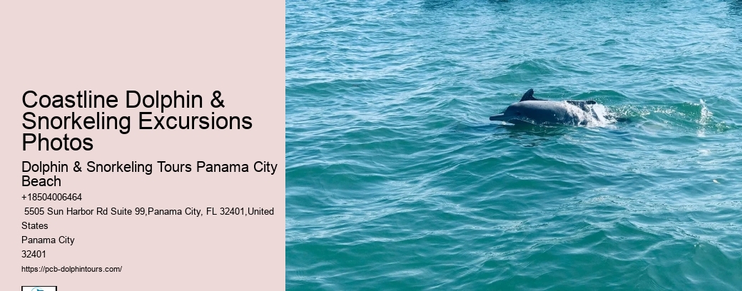 Coastal Restoration Efforts