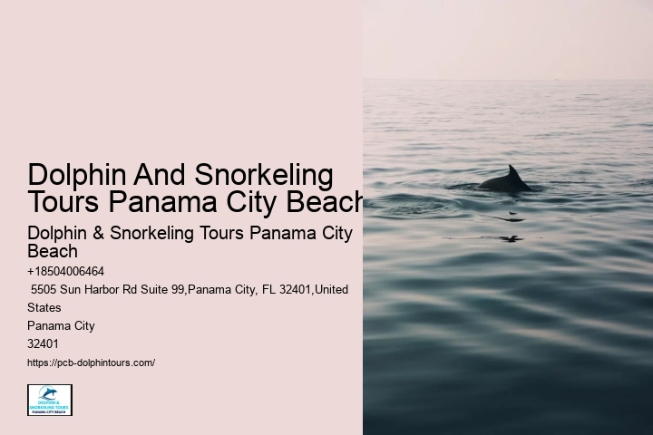 Dolphin And Snorkeling Tours Panama City Beach