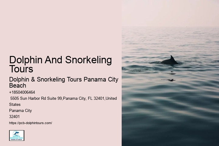 Panama City Beach Dolphin Tours & More