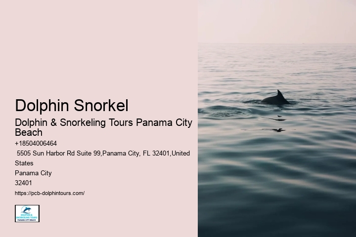 Dolphin & Snorkeling Tours In Panama City Beach Prices