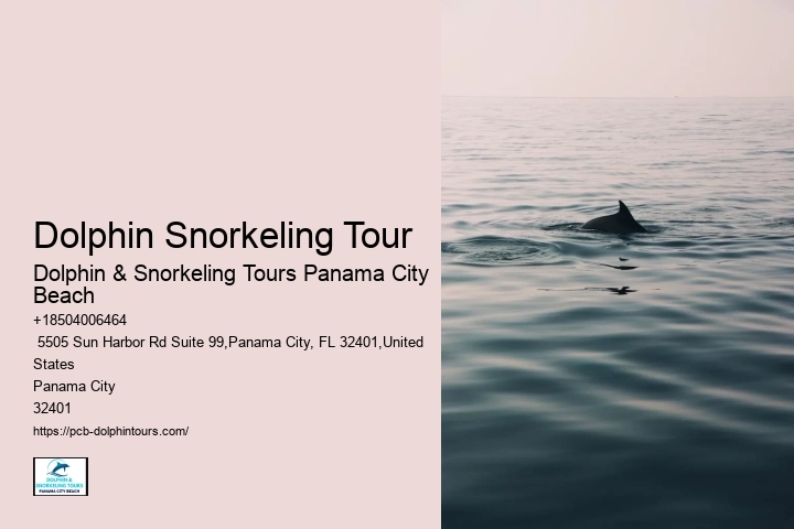Dolphin Snorkeling Tour