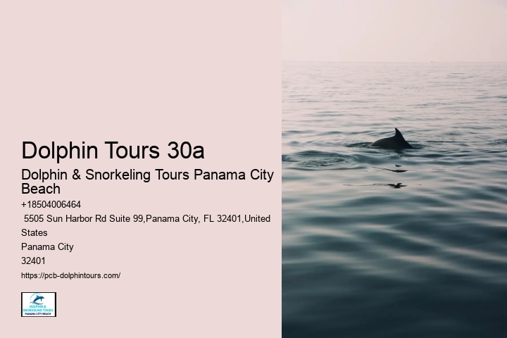 Dolphin Swim Boat Tours