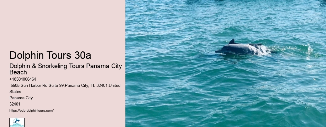 Dolphin Tours 30a