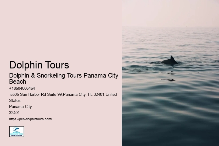 Dolphin Tours