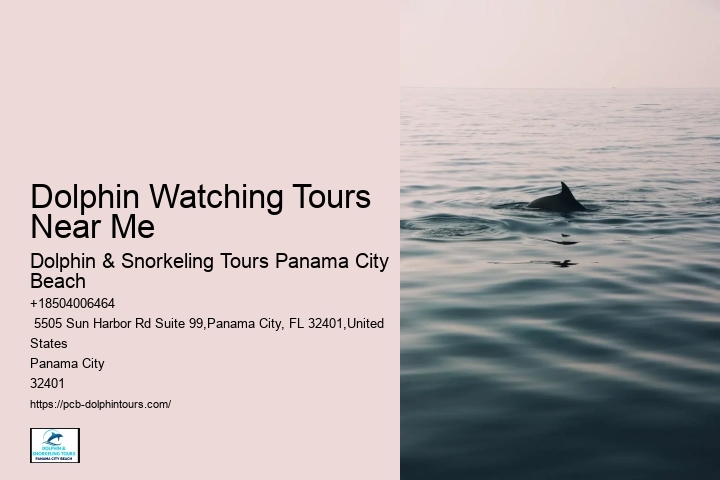 Dolphin Watching Tours Near Me