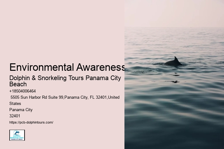 Panama City Beach Dolphin Tours & Adventures Llc