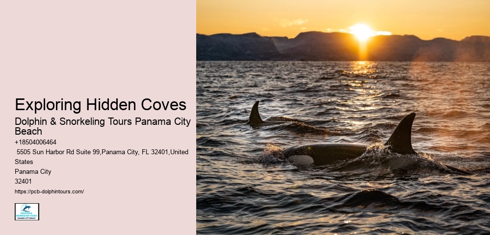 Exploring Hidden Coves