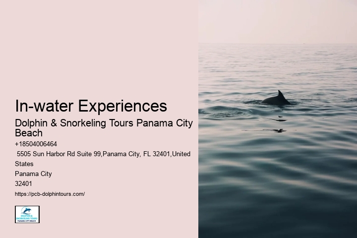5 Tips For Swimming With Dolphins For The First Time