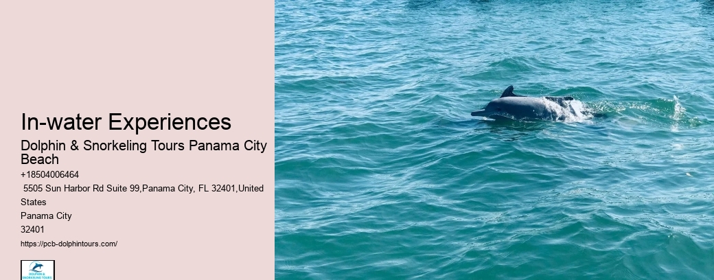 In-water Experiences