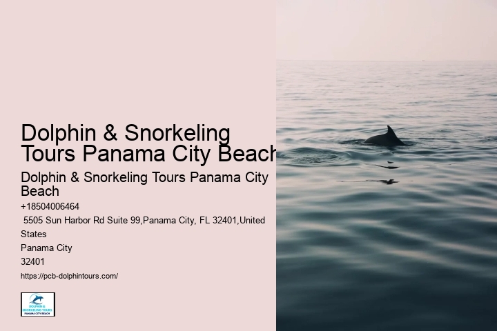 Best Dolphin & Snorkeling Tours In Panama City Beach