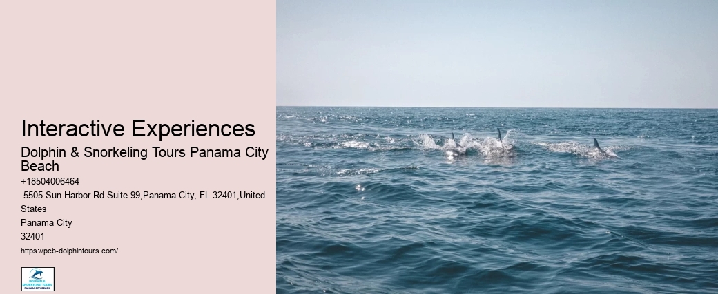 Interactive Experiences