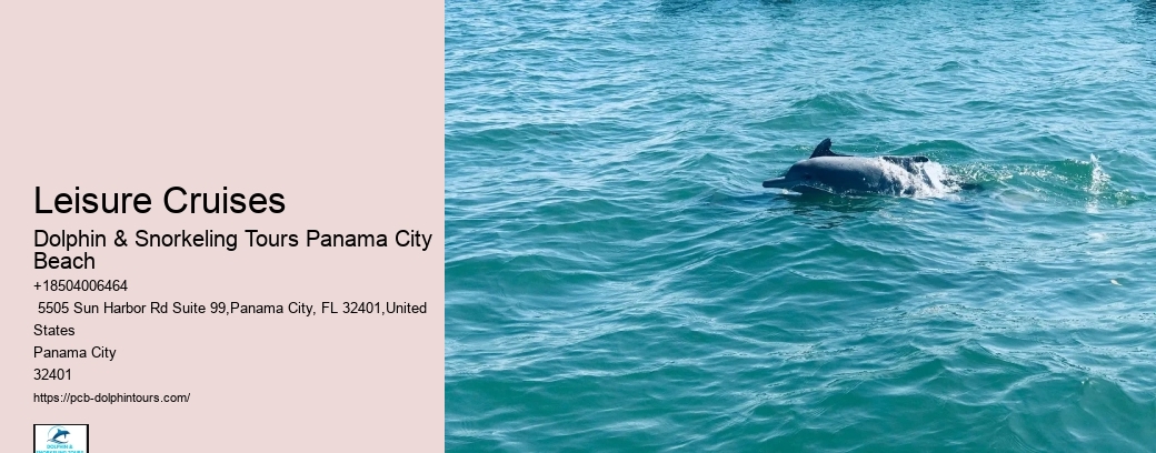 Can You Swim With Dolphins At Shell Island