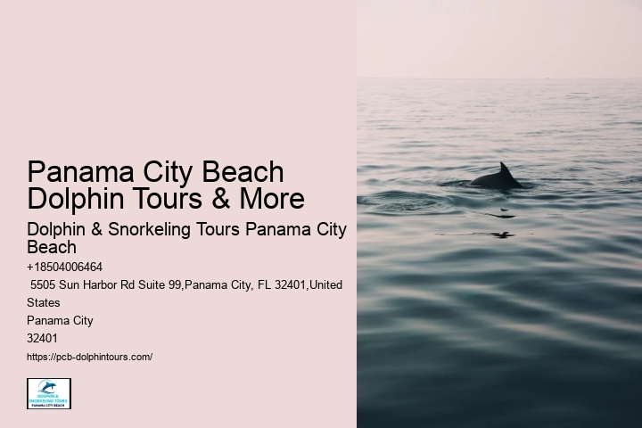 Panama City Beach Dolphin Tours & More