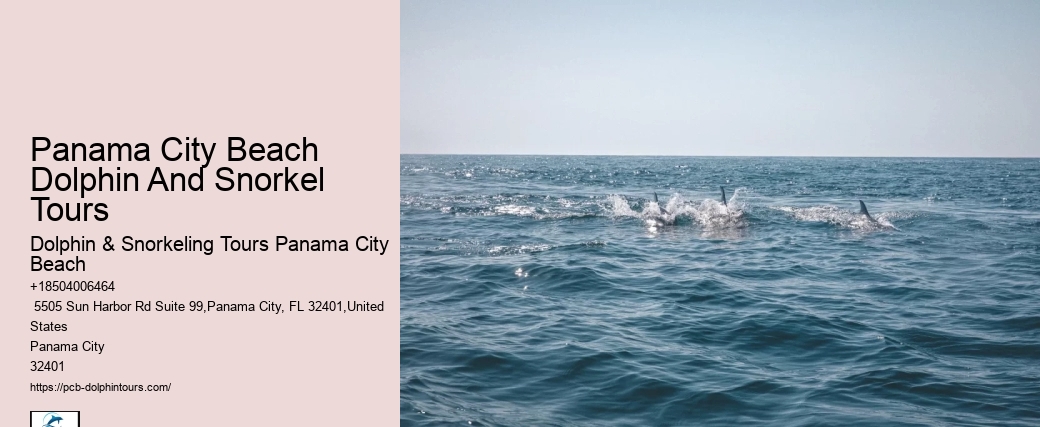 Panama City Beach Dolphin And Snorkel Tours