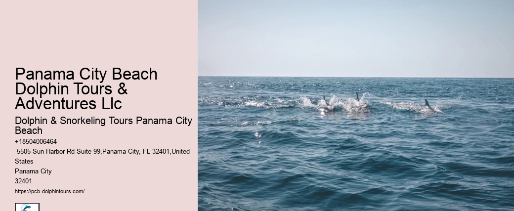 City Florida