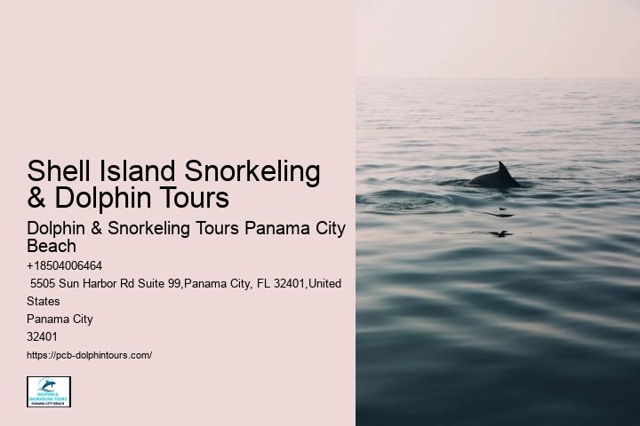 Come Swim With The Dolphins
