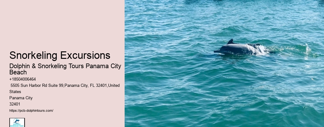 4 Best Beaches In Panama City Beach To Visit By Boat