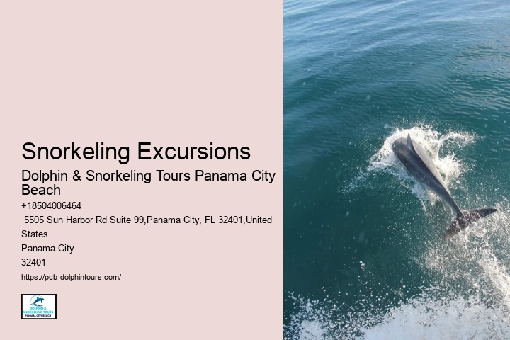 Is It Safe To Be In The Water With Dolphins