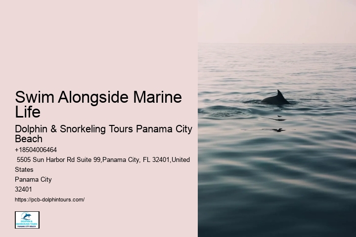 Swim Alongside Marine Life