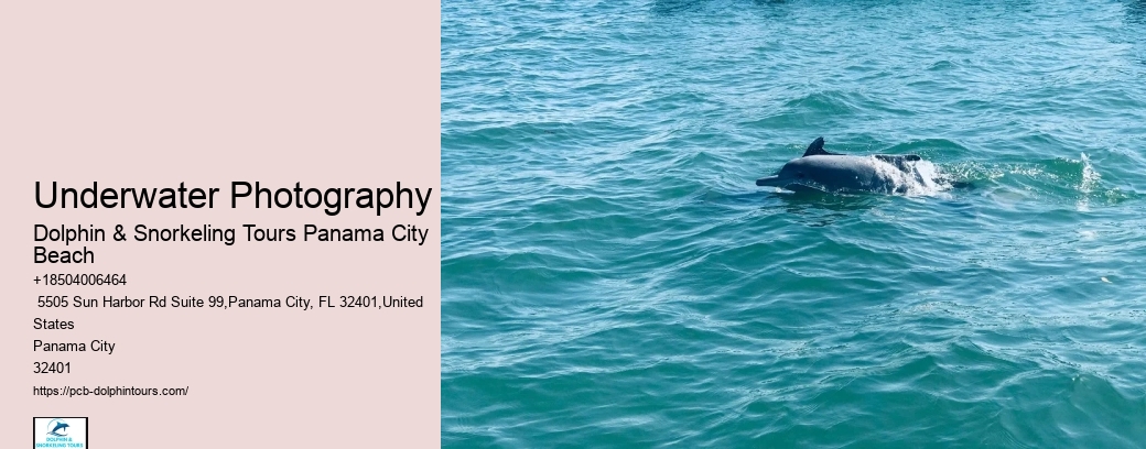 Underwater Photography